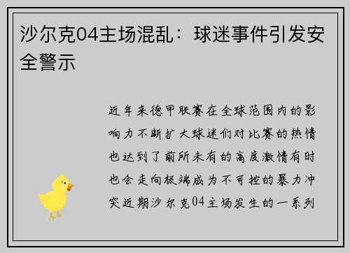 沙尔克04主场混乱：球迷事件引发安全警示